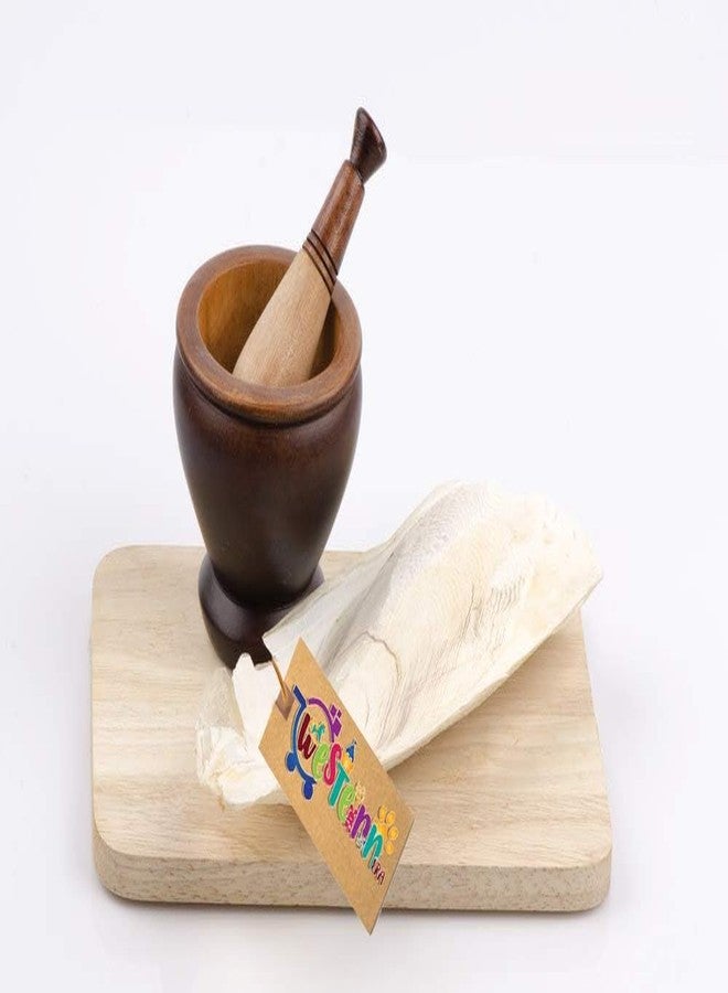 ويستيرن إرا عظم الحبار الطبيعي عالي الكالسيوم من ويسترن إيرا، كتلة معدنية طبيعية لنمو عظام السلاحف (250 غرام) - Image 2